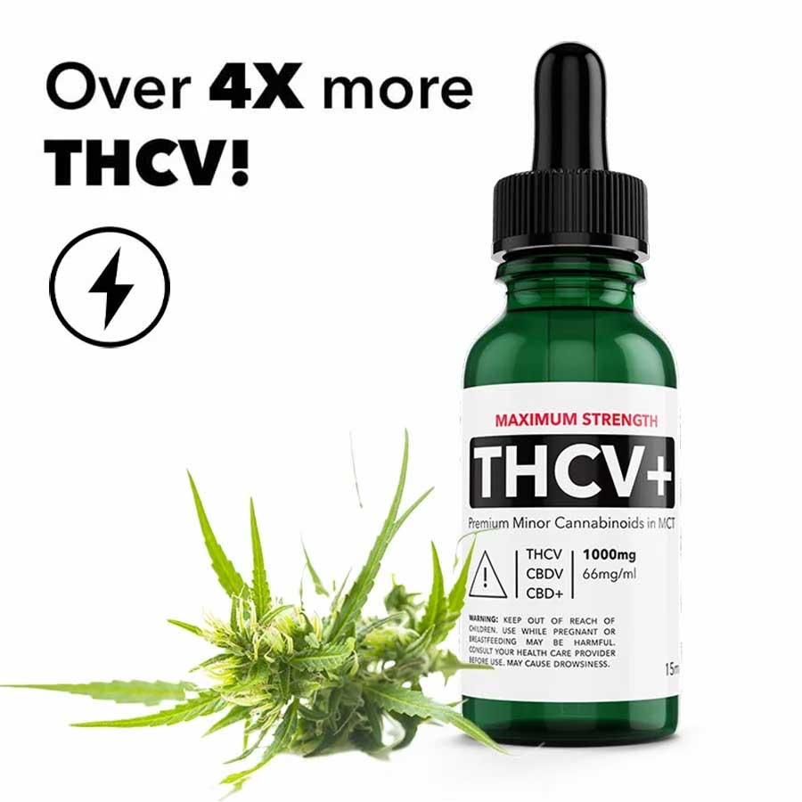 Canntropy THCP Premium Cannabinoid Oil - 5 % THCP, 50 mg/ml, 10 ml